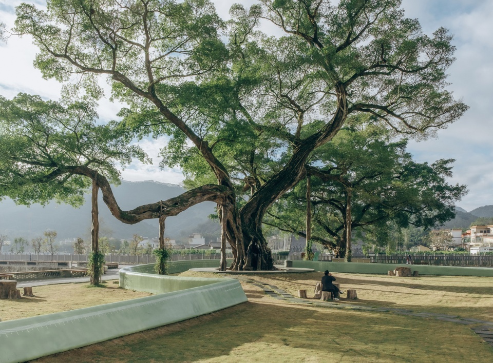 ancient banyan plaza renovation by atelier xuk