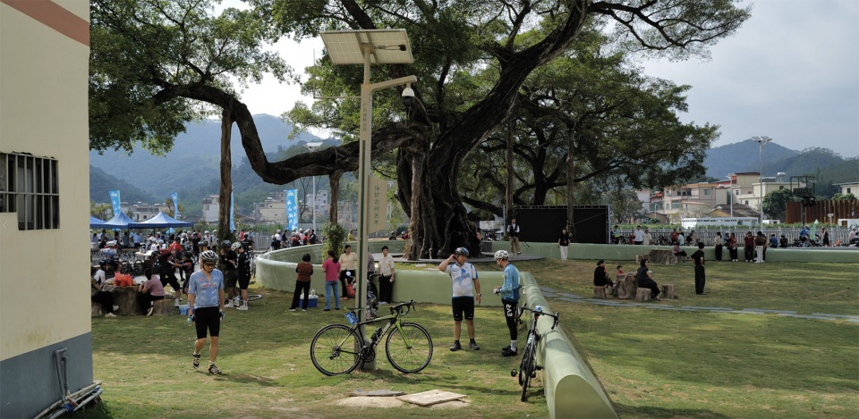 ancient banyan plaza renovation by atelier xuk