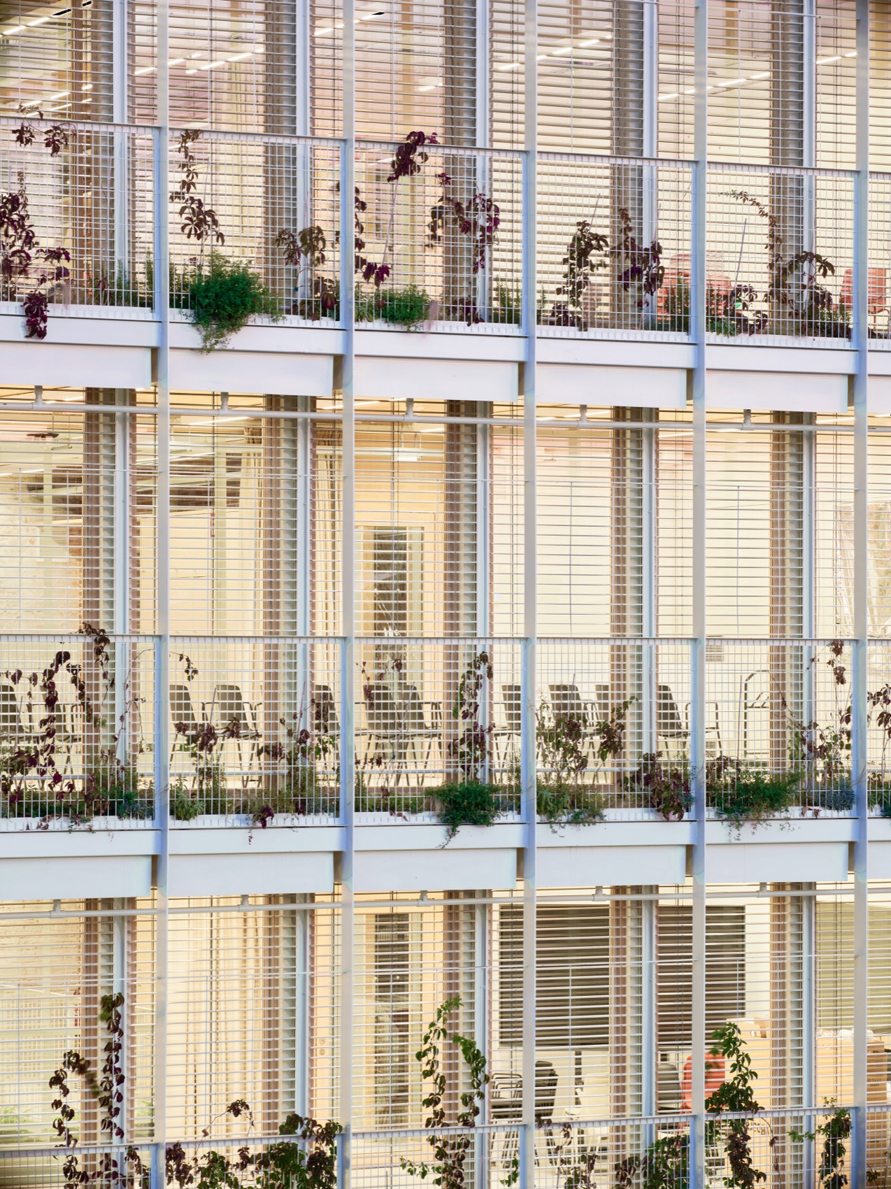 SANTS SOCIAL CENTRE