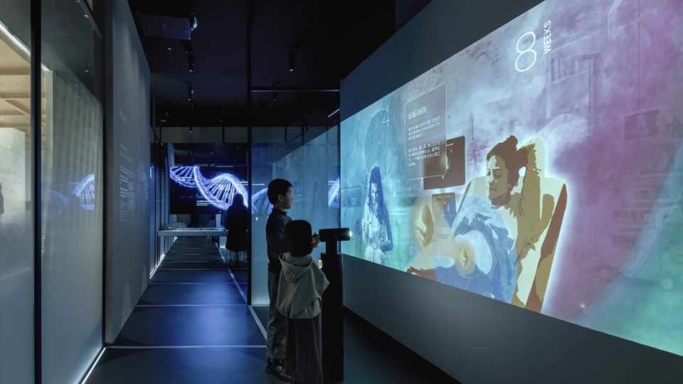 my museum by vave studio