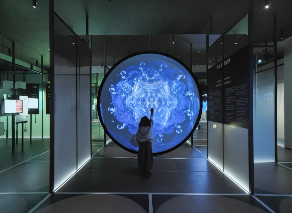 my museum by vave studio