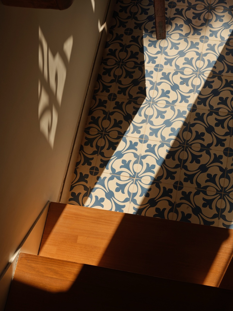 house for piano and violin by endalt arquitectes josep eixeres