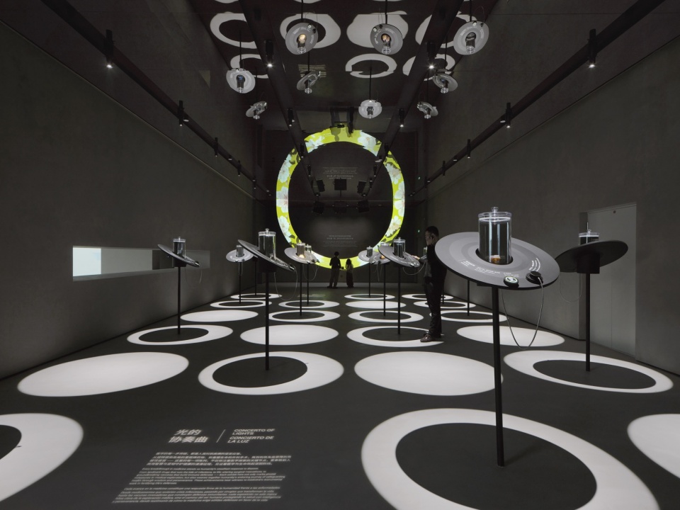 my museum by vave studio