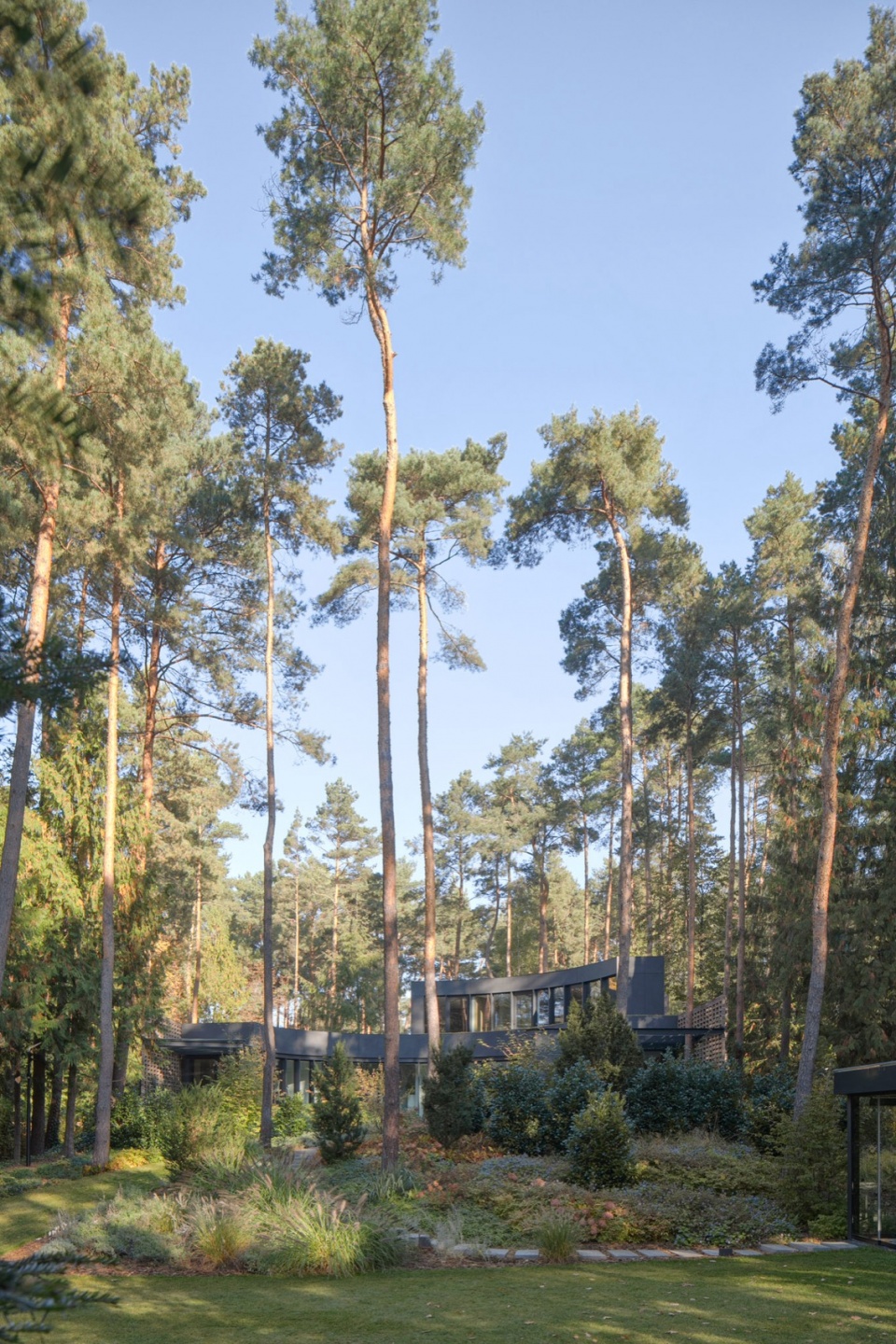 House with a Glade