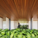 EA住宅，巴西 / Jacobsen Studio