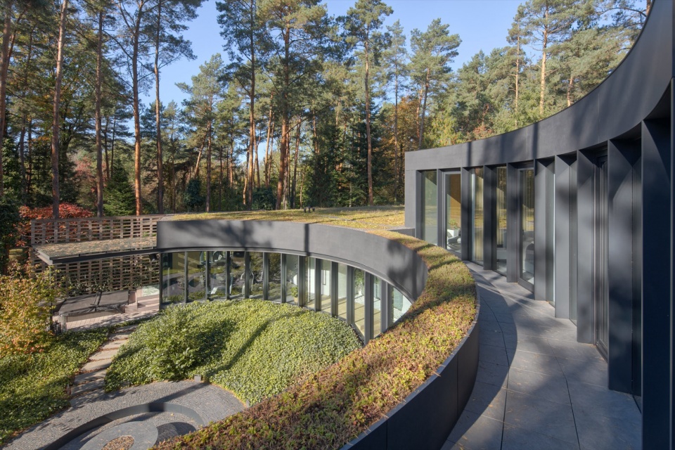 House with a Glade