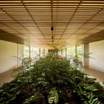 EA住宅，巴西 / Jacobsen Studio
