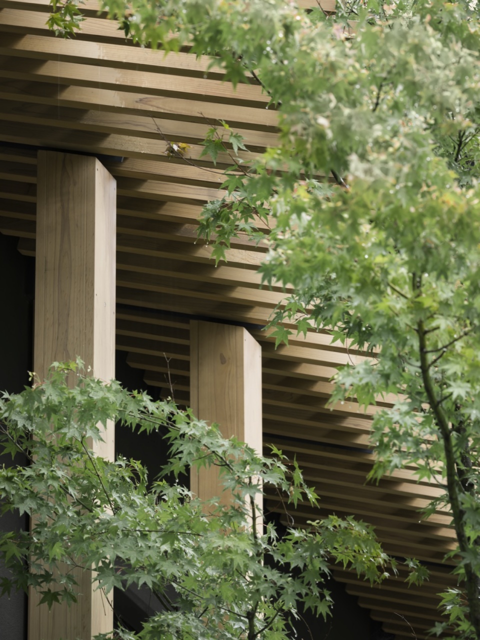 banyan tree higashiyama kyoto by kengo kuma and associates