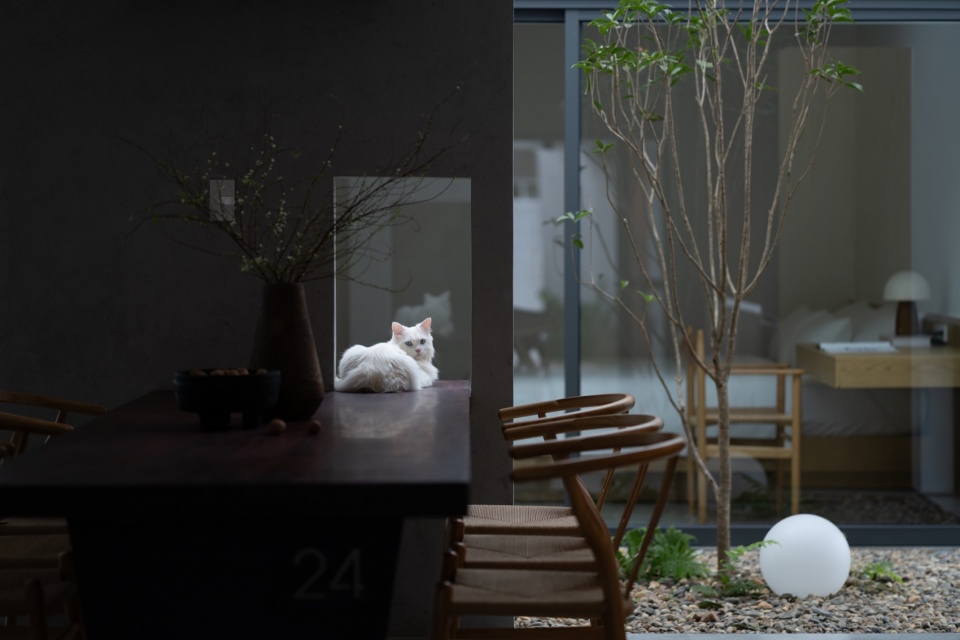 nam da house by 24minimalist architecture