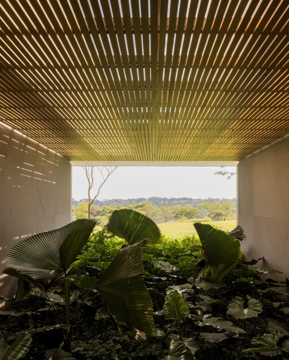 ea house by jacobsen studio