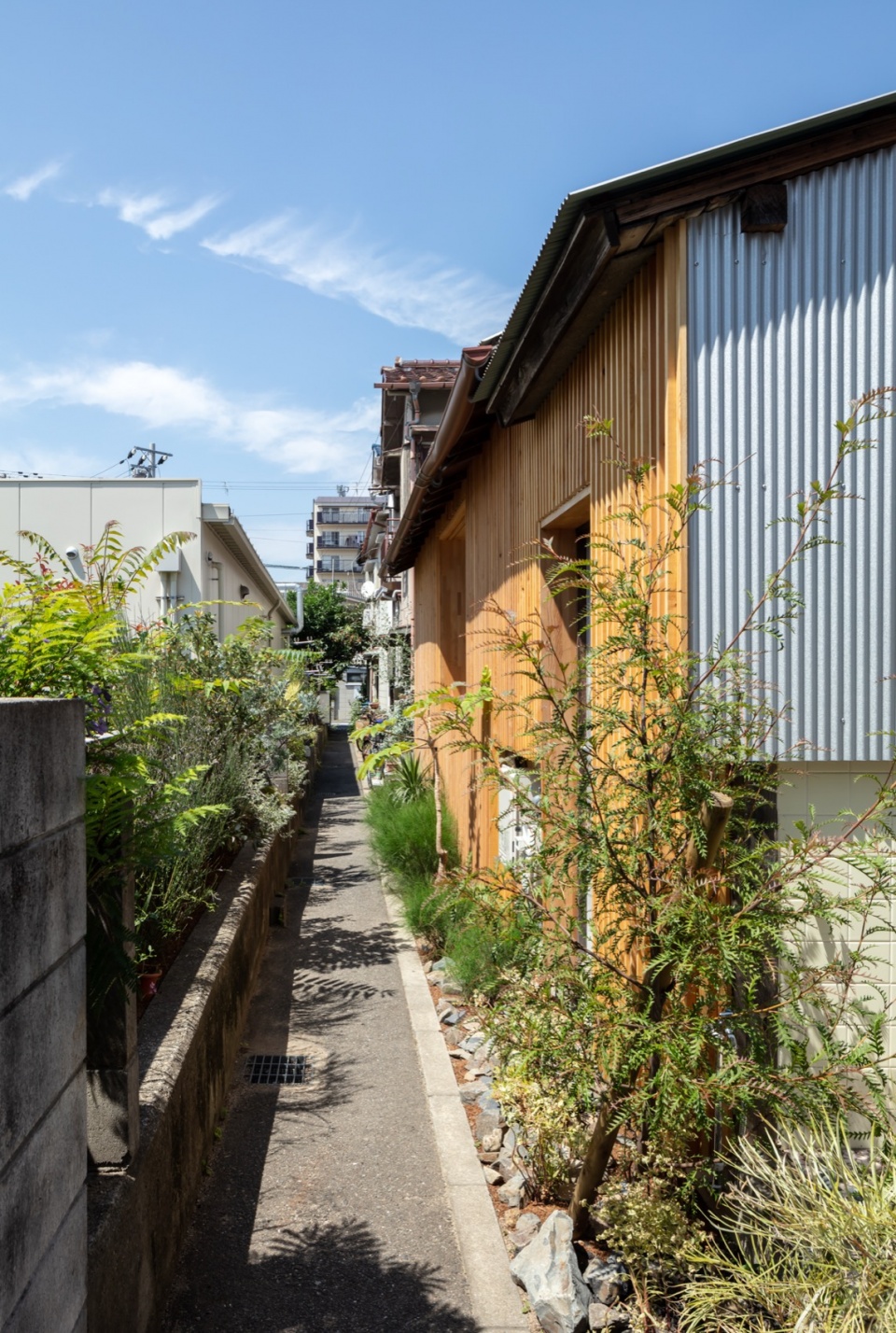 house for gonda by office for environment architecture