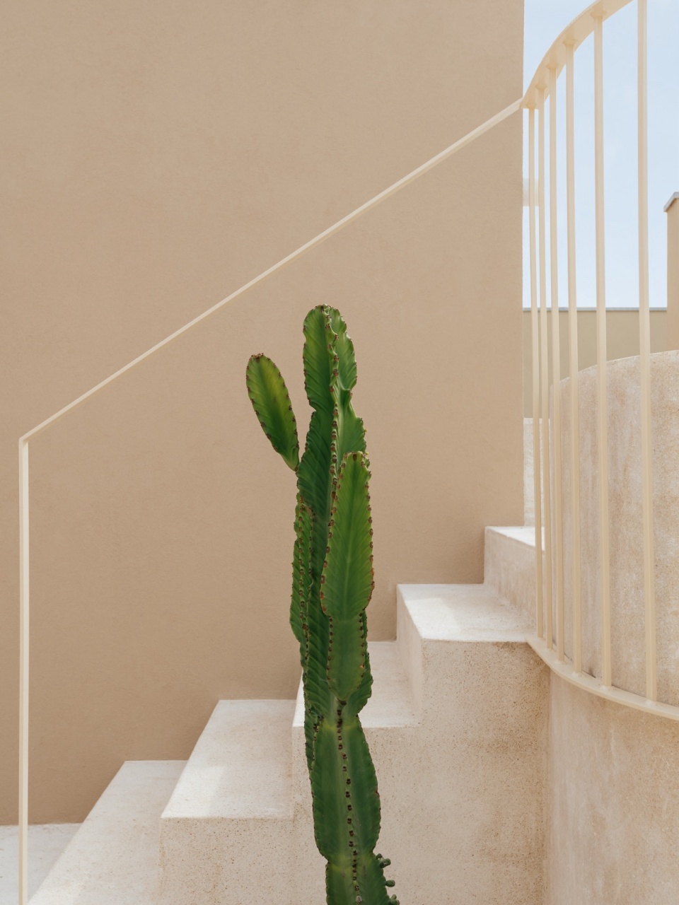 Mustard building by Aurora Architects Furo
