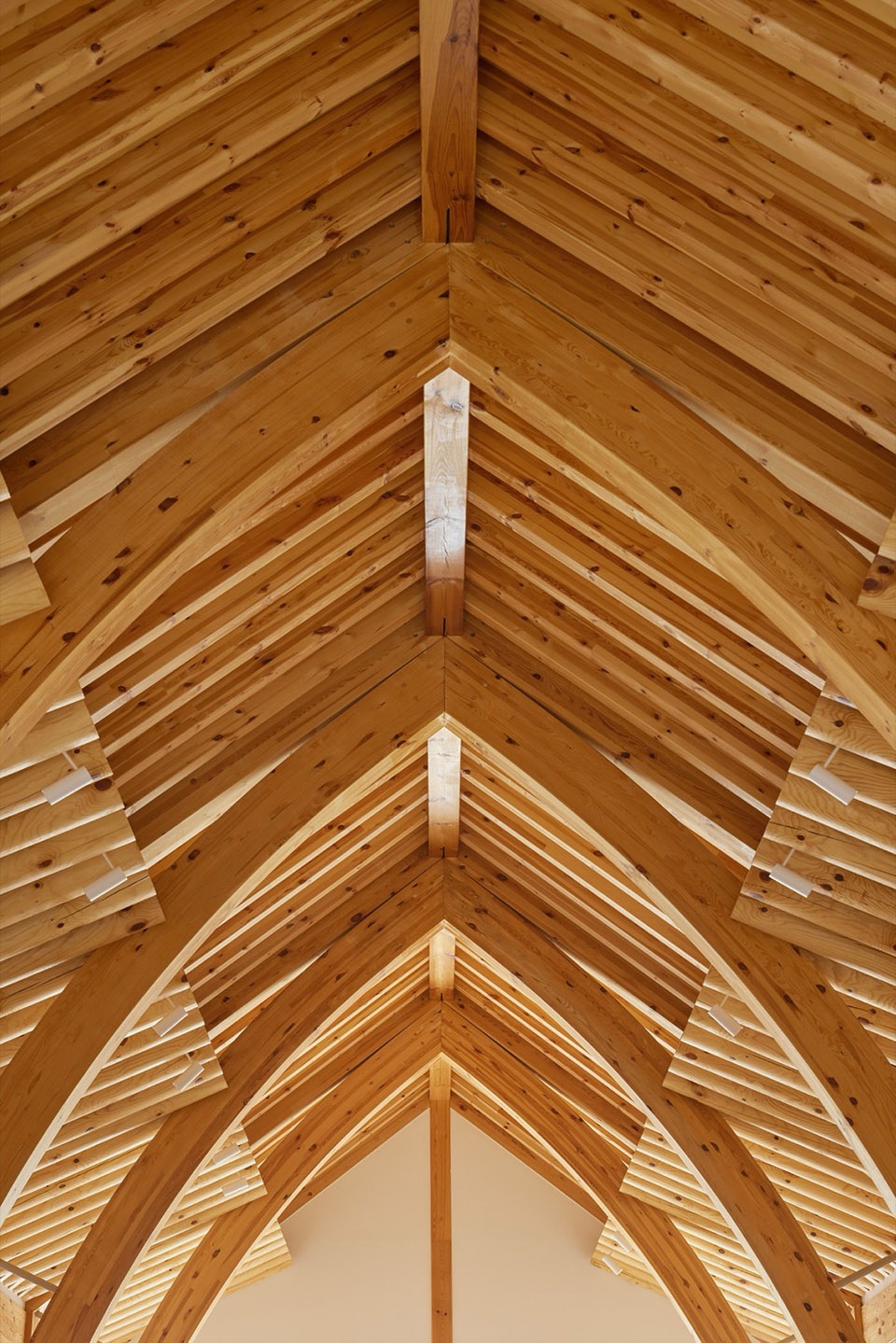 House for Rejuvenation by JK AR