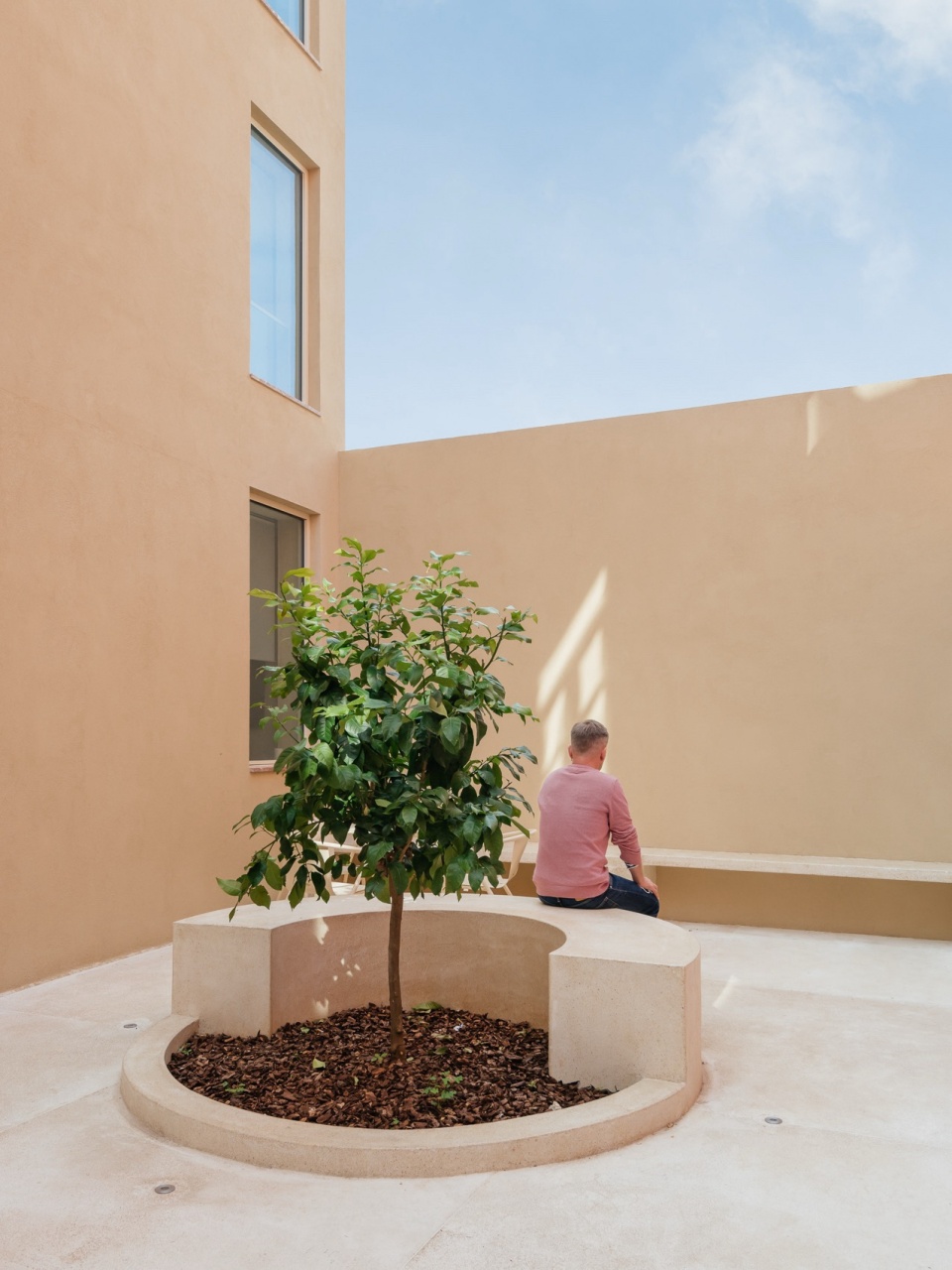 Mustard building by Aurora Architects Furo