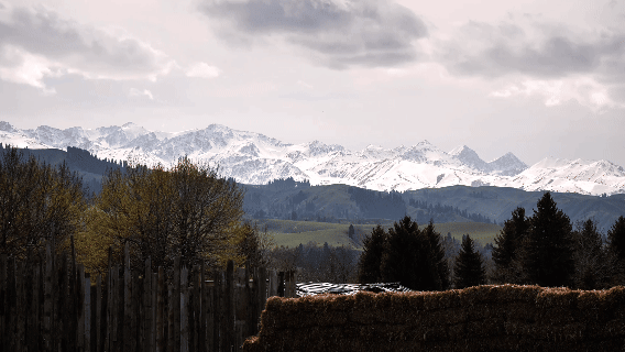 场地上看到雪山 Snow mountains visible from the site© 尌林建筑