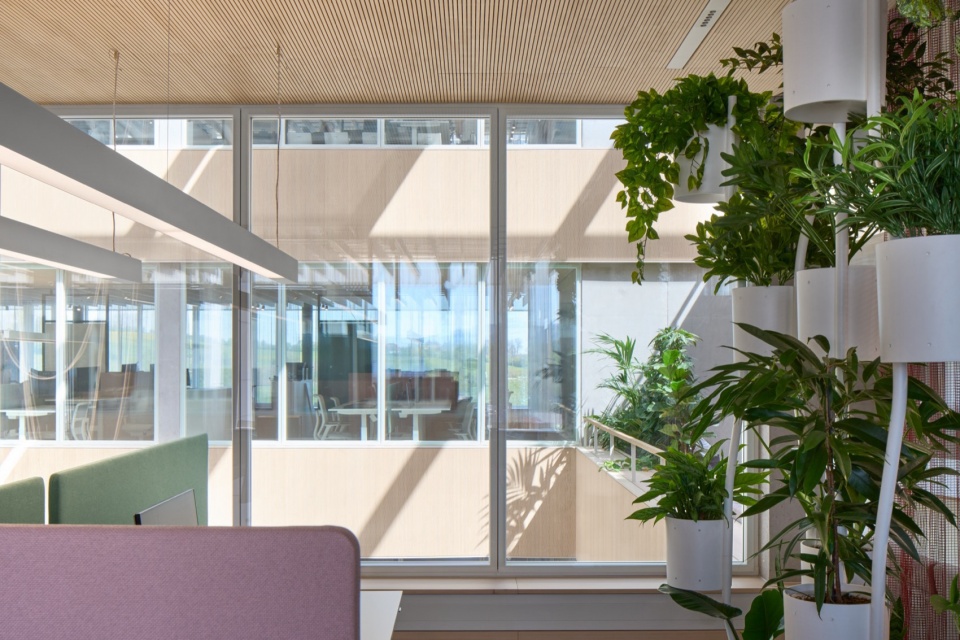 FUNDERA Business Forum by Ippolito Fleitz Group
