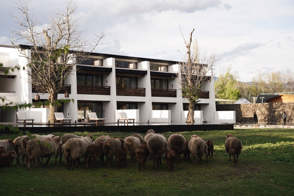 Daye Songshan Homestay by Shulin Architecture Design Studio