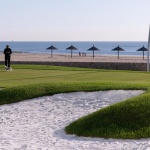 Aranya Sea Mirror Garden by Z’scape