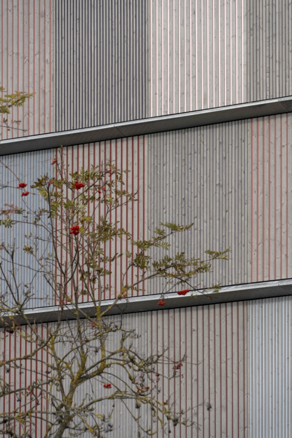 federal university of public administration by sauerbruch hutton