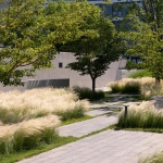 Aranya Sea Mirror Garden by Z’scape