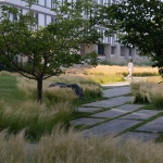 Aranya Sea Mirror Garden by Z’scape