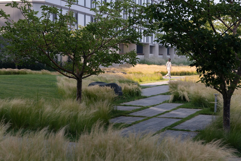 aranya sea mirror garden by zscape
