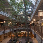 Green Heart Commercial Complex & A4X Art Center by E Plus Design (E+UV)