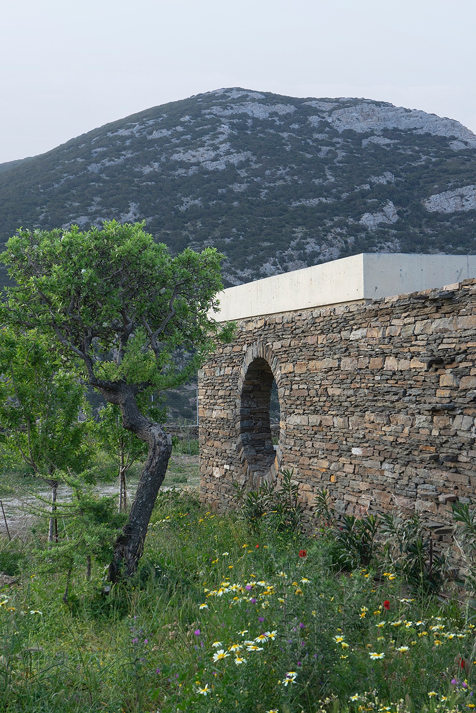 House with a Garden