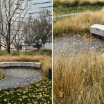 Aranya Sea Mirror Garden by Z’scape