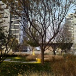 Aranya Sea Mirror Garden by Z’scape