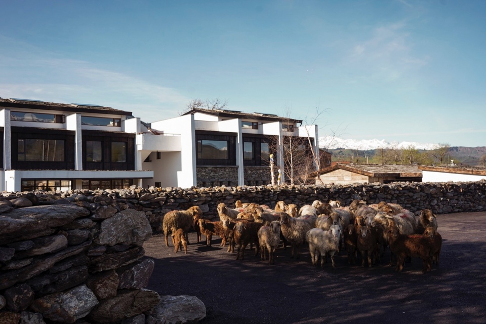 Daye Songshan Homestay by Shulin Architecture Design Studio
