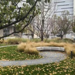 Aranya Sea Mirror Garden by Z’scape