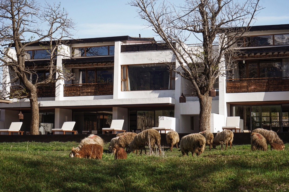 Daye Songshan Homestay by Shulin Architecture Design Studio