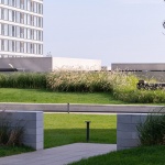 Aranya Sea Mirror Garden by Z’scape