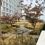 Aranya Sea Mirror Garden by Z’scape