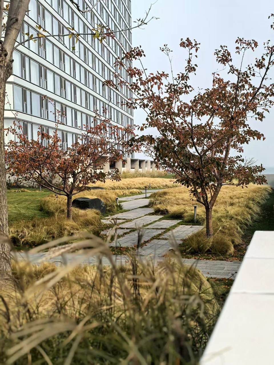 aranya sea mirror garden by zscape