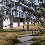 Aranya Sea Mirror Garden by Z’scape