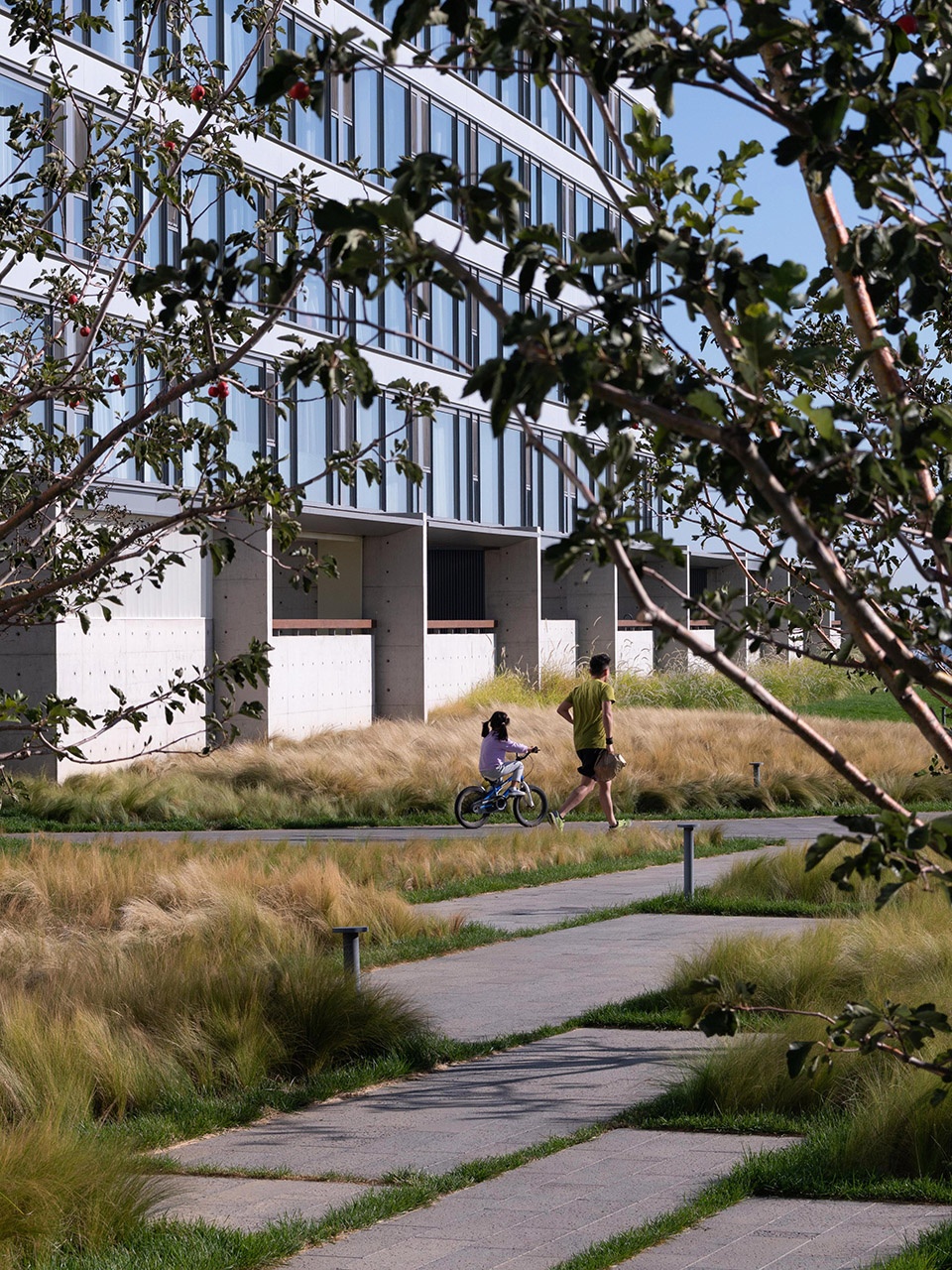 aranya sea mirror garden by zscape