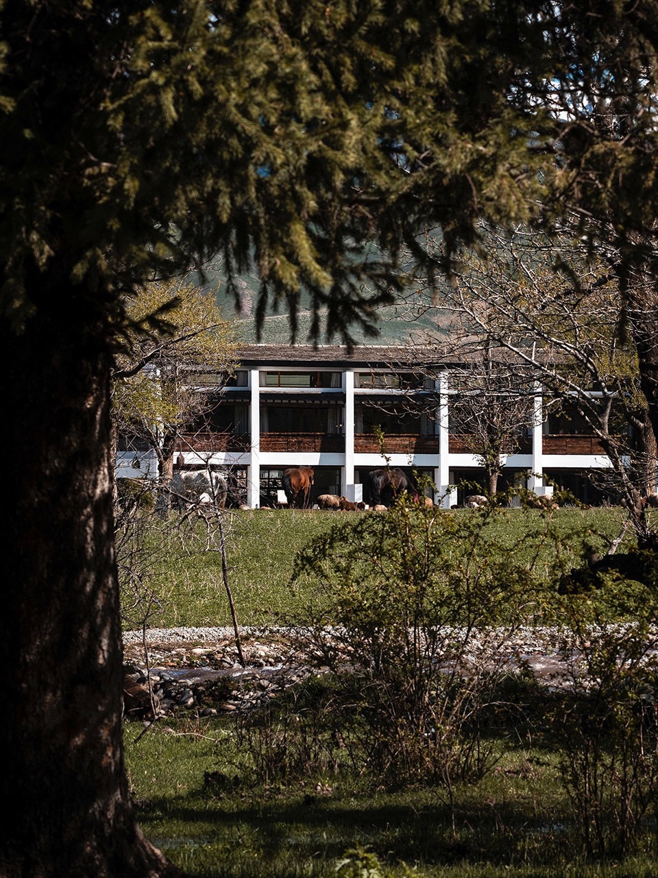 Daye Songshan Homestay by Shulin Architecture Design Studio