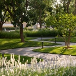 Aranya Sea Mirror Garden by Z’scape