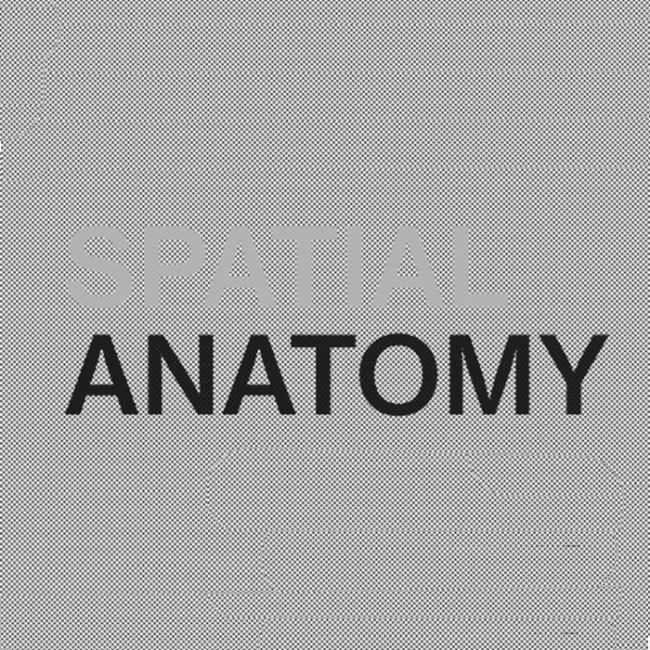 Spatial Anatomy