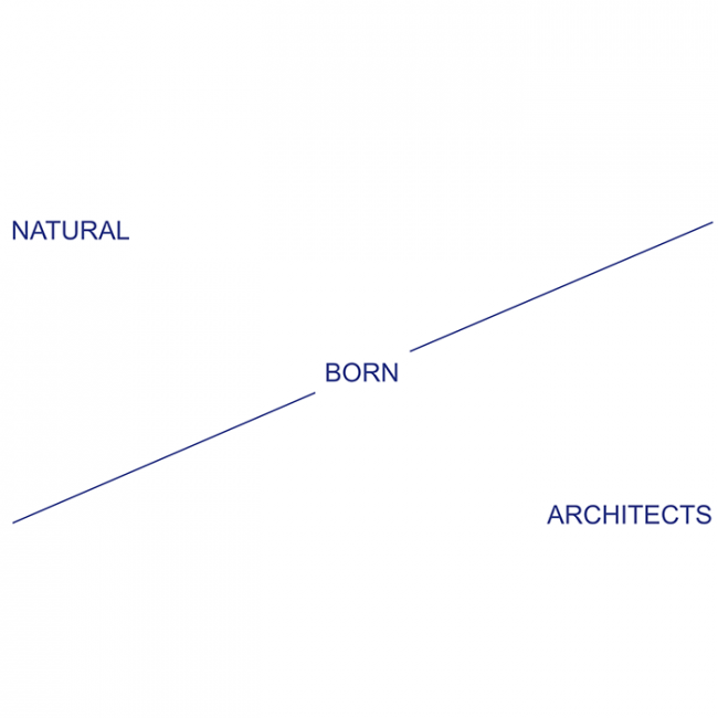 Natural Born Architects
