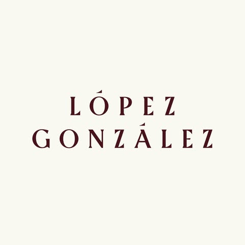 Lopez Gonzalez Studio